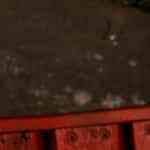 Platos con pasta y salsa cheddar