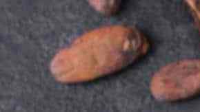 salsa de chocolate en taza