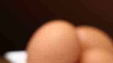 sandwich de jamón y queso casero