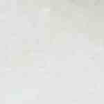 plato con huevos motuleños