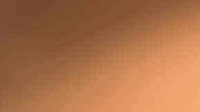 plato con rocoto relleno