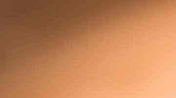 plato con rocoto relleno