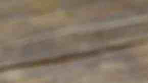 Frasco con duraznos en almíbar