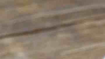 Frasco con duraznos en almíbar