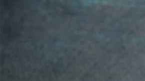 plato de acelgas con garbanzos