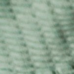 strogonoff de pollo con arroz