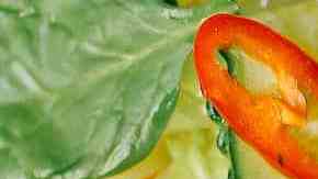 tataki de salmón con ensalada