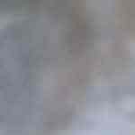 Recipiente con salsa de limón