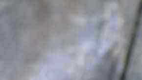 Recipiente con salsa de limón