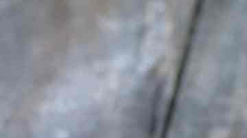 Recipiente con salsa de limón