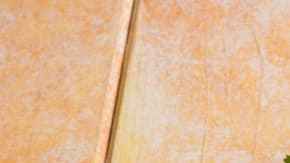 arroz con alcachofas en plato