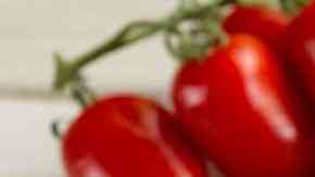 plato con arroz con almejas