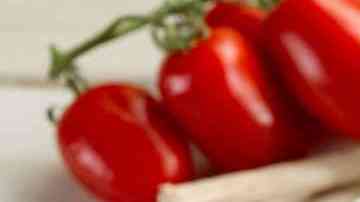 plato con arroz con almejas