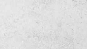 Plato de fettuccini con salsa boscaiola