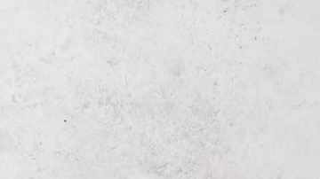 Plato de fettuccini con salsa boscaiola