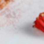 Tinga de flor de jamaica