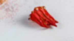 Tinga de flor de jamaica