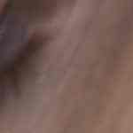 plato con pasta alla norma