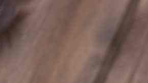 plato con pasta alla norma