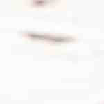 Pollo a la jardinera