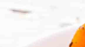 Pollo a la jardinera