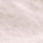 mangos para hacer salsa