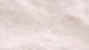 mangos para hacer salsa