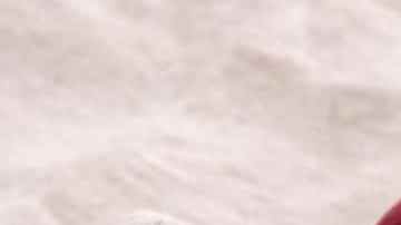 mangos para hacer salsa