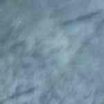 recipiente con salsa marinera