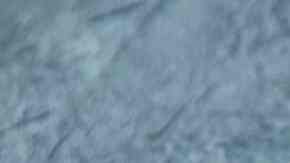 recipiente con salsa marinera