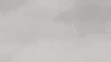 bowl con salsa mil islas