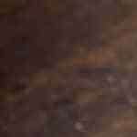 Bowl con salsa gorgonzola