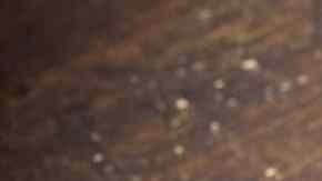 Bowl con salsa gorgonzola