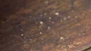 Bowl con salsa gorgonzola