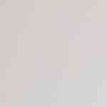 plato con seco de pollo