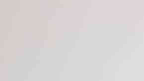 plato con seco de pollo