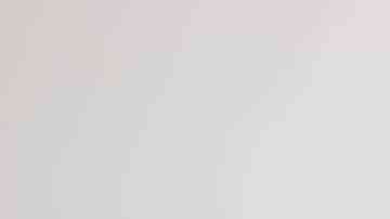 plato con seco de pollo