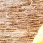 plato con sopa de costilla