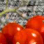 plato con chuletas de cerdo en salsa de champiñones