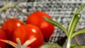 plato con chuletas de cerdo en salsa de champiñones