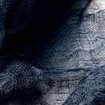 plato con hígado encebollado