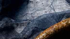 plato con hígado encebollado