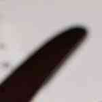 salsa de setas casera