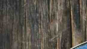 salsa kebab con brochetas de pollo