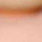 plato con delicioso cerdo agridulde chino casero