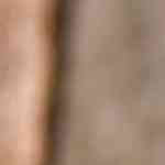 salsa de frutos rojos casera