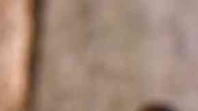 salsa de frutos rojos casera