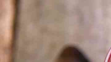 salsa de frutos rojos casera