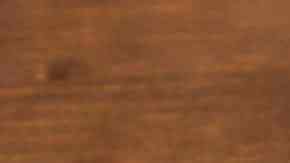 salsa de nueces casera