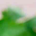 un recipiente de vidrio con salsa de perejil casera